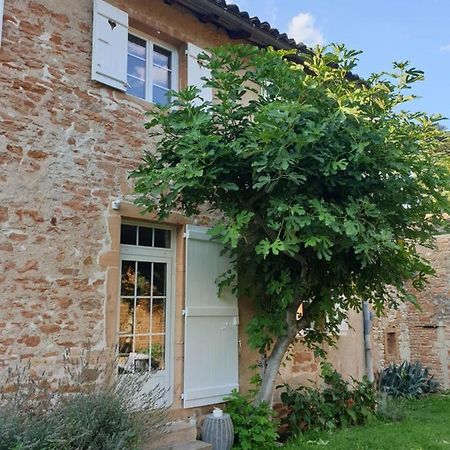 Le Gite Du Carge D'Arlay Charnay-lès-Mâcon Zewnętrze zdjęcie