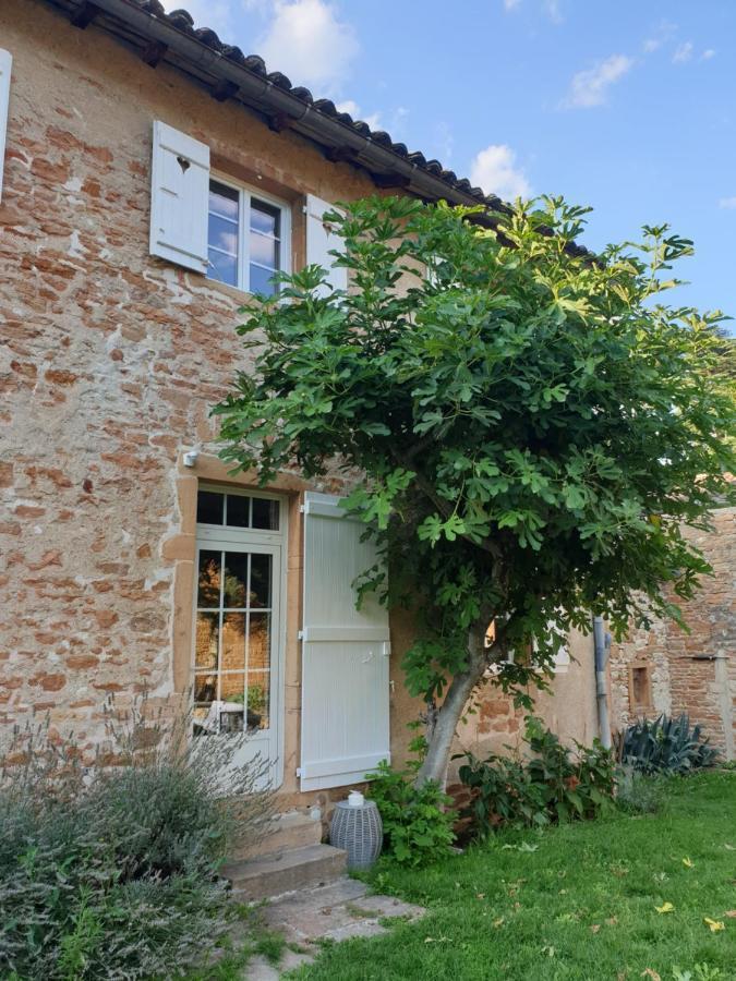 Le Gite Du Carge D'Arlay Charnay-lès-Mâcon Zewnętrze zdjęcie